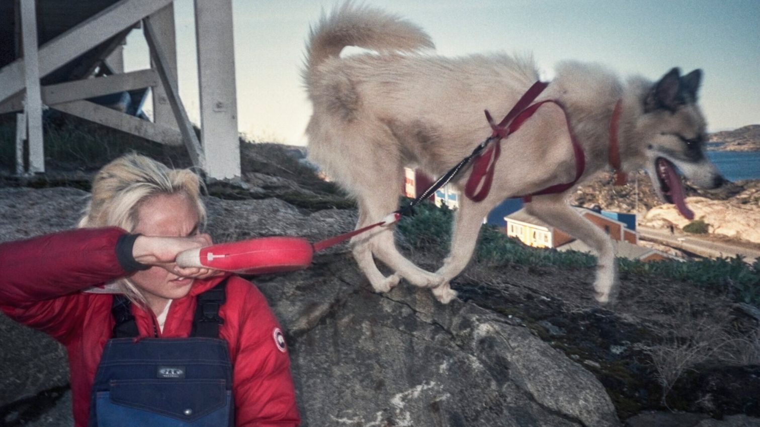 Community Collage: Inuuteq Storch Spotlights Society in Greenland