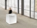 Untitled What happens to the hole when the cheese is gone by Roni Horn contemporary artwork Sculpture