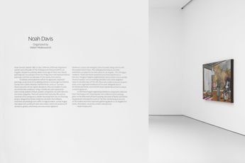 Contemporary art exhibition Noah Davis Noah Davis at David Zwirner New York 19th Street United States