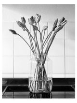o.T. 6 by Benjamin Katz contemporary artwork photography