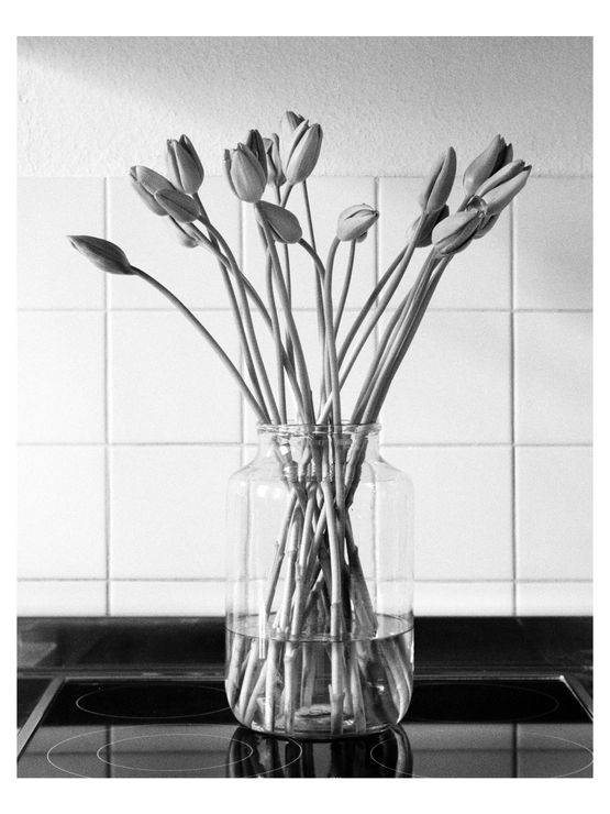 o.T. 6 by Benjamin Katz contemporary artwork Photography