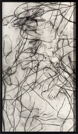 Framed 2 by Julie Rrap contemporary artwork works on paper drawing