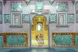 Karen Knorr