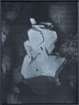Exotime 05 by Hugo Deverchere contemporary artwork print