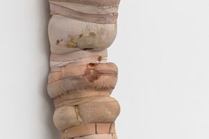 Patricia Ayres