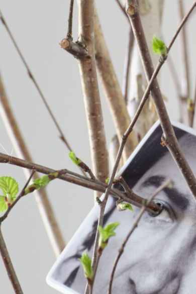 Garessio to Turin: The Formative Path of Giuseppe Penone