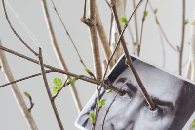 Garessio to Turin The Formative Path of Giuseppe Penone