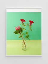 Coxcomb Red by Annette Kelm contemporary artwork photography