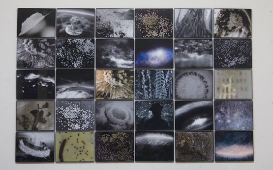Creation Myth by Michelle Stuart contemporary artwork Photography