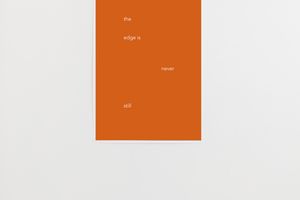 Helen Cammock