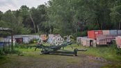 The Cobra by Gregory Crewdson contemporary artwork Photography