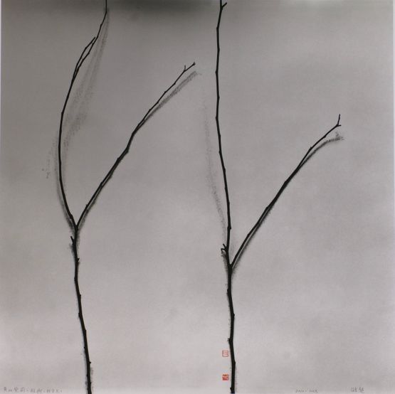 Whispers of Trees - Cercis Zhao Yiguang by Chu Chu contemporary artwork Works on Paper