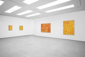 Contemporary art exhibition Tunji Adeniyi-Jones Deep Dive at White Cube Hong Kong