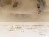Pink Storm 1 967910FC by Richard Misrach contemporary artwork photography