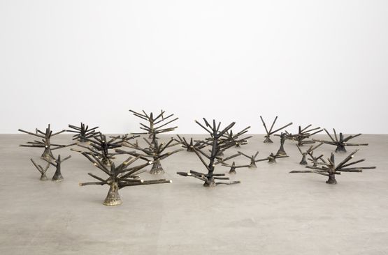 Fruitless Trees by Hu Qingyan contemporary artwork Installation