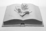 Without words Book series by Aidan Salakhova contemporary artwork sculpture