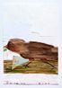 Small Running Bird on a Branch by Rose Wylie contemporary artwork Works on Paper