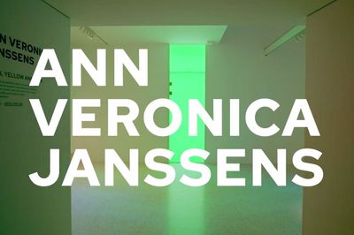 Ann Veronica Janssens Green Yellow and Pink Exhibition Reaction