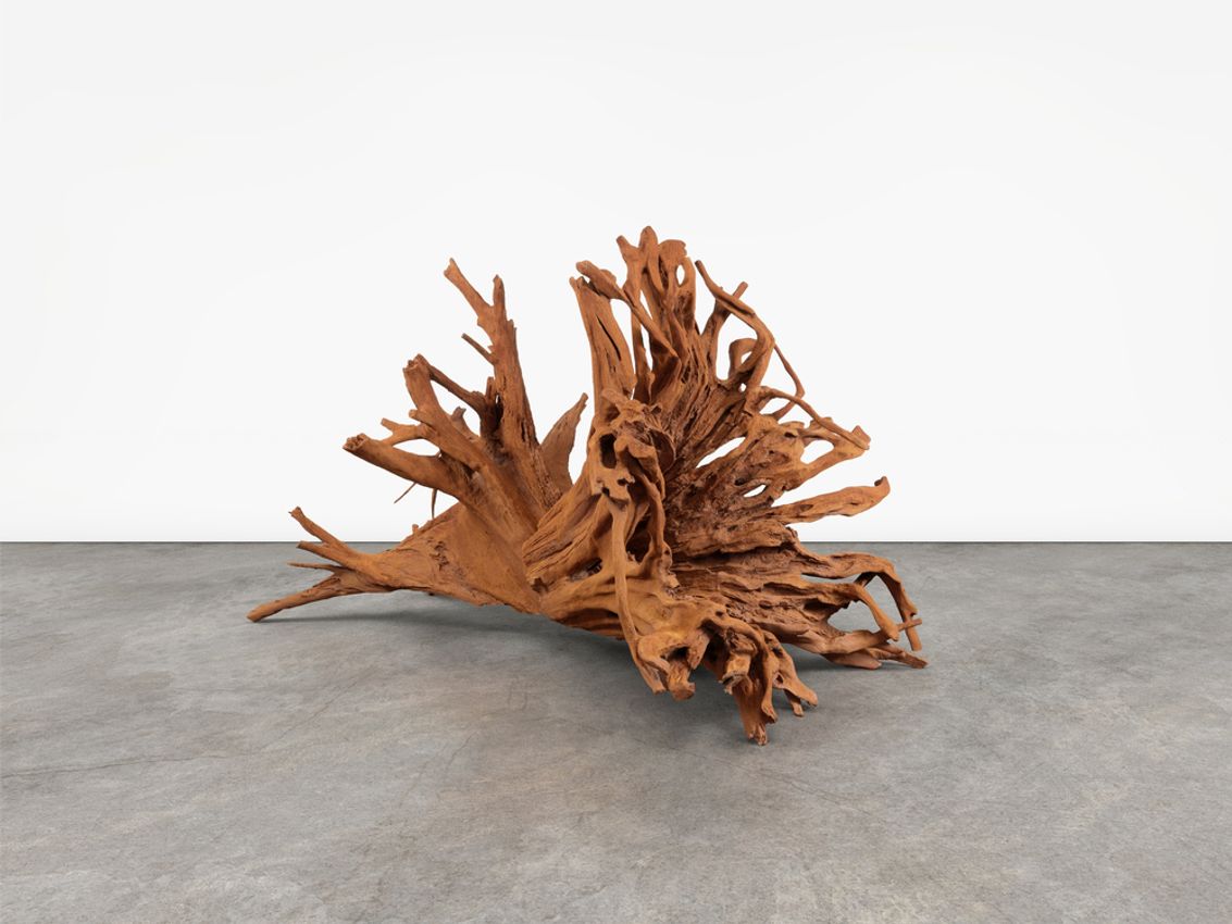 Ai Weiwei