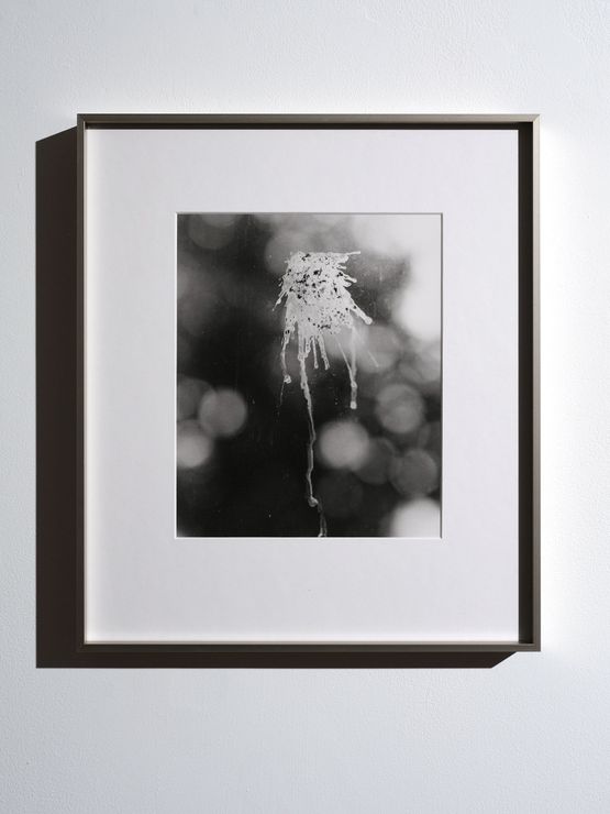 Guano by Conor Clarke contemporary artwork Photography