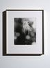 Guano by Conor Clarke contemporary artwork Photography