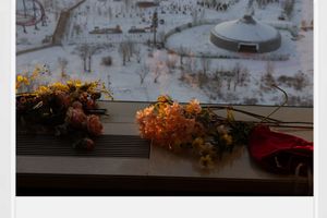 Wolfgang Tillmans
