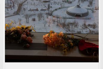 Contemporary art exhibition Wolfgang Tillmans Summer Storm Rain Drops Freeze Frame at Galerie Buchholz Berlin Germany