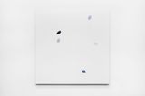 Translucent Leaves by Daniel Steegmann Mangrane contemporary artwork painting