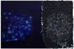 Jian-Jun Zhang contemporary artist