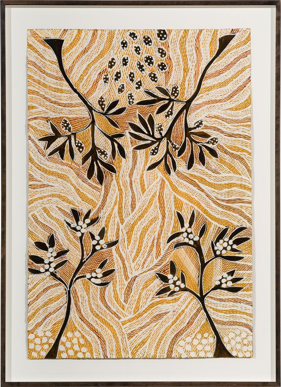 Burukpili ga Luiny by Yalmakany Marawili contemporary artwork Works on Paper