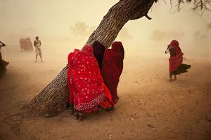 Steve Mccurry