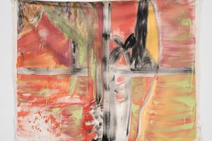 Vivian Suter