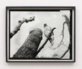 Twelfth beast by Gerard Byrne contemporary artwork Photography