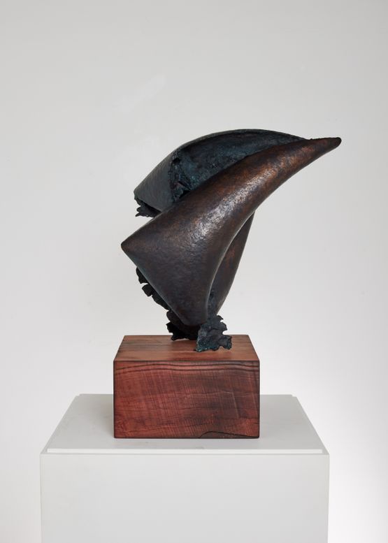 Three Winged Bird - Bird in Heaven 1 by Tai-Jung Um contemporary artwork Sculpture