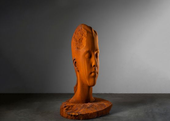 Juana by Jaume Plensa contemporary artwork Sculpture