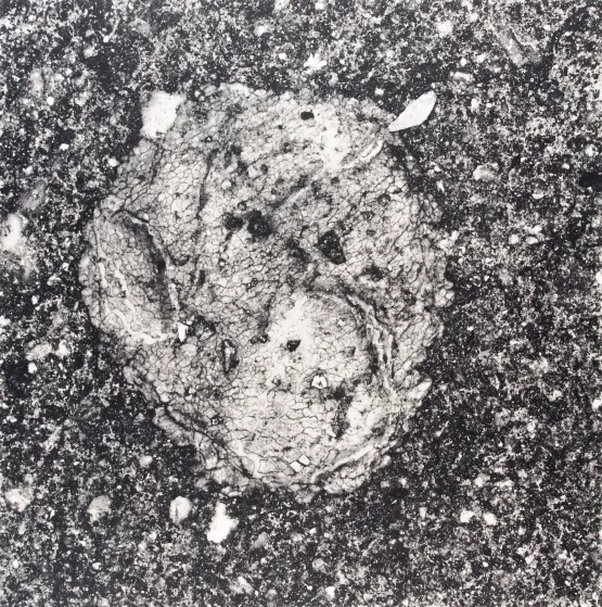 Underfoot XXXIV by Irving Penn contemporary artwork Photography