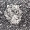 Underfoot XXXIV by Irving Penn contemporary artwork Photography