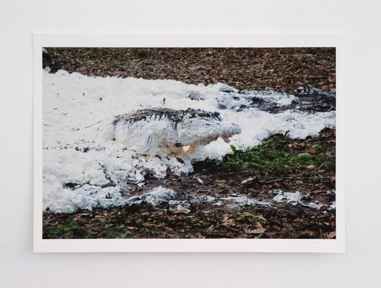 Fffffffffffffffff one  by Paola Pivi contemporary artwork Print