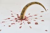 The Fall by Tao Hui contemporary artwork sculpture works on paper