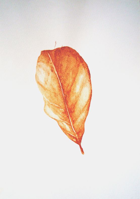 Untitled by Brigida Baltar contemporary artwork Drawing