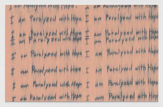 Seizure of Hope 71 by Roni Horn contemporary artwork Works on Paper