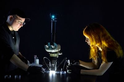 Holly Herndon and Mat Dryhurst on AI Optimism and Bringing Two-Headed Worms to Venice