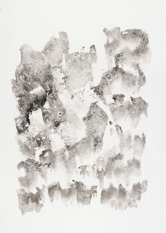 Lotus 3 by Chiang Yomei contemporary artwork Works on Paper