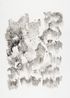 Lotus 3 by Chiang Yomei contemporary artwork Works on Paper