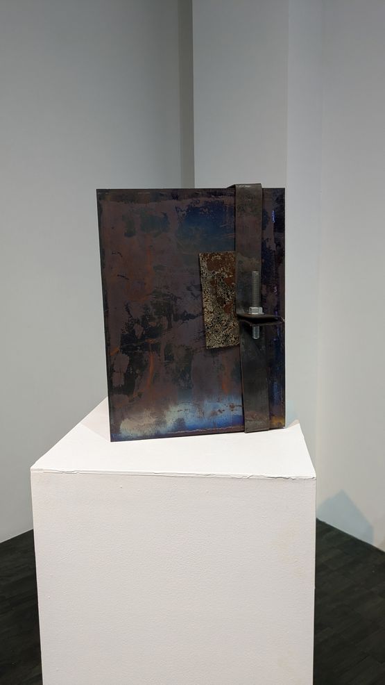 Alive 09 by Madara Manji contemporary artwork Sculpture