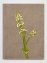 Flor Flower by Marcia Schvartz contemporary artwork painting